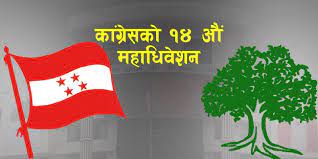 Nepali Congress General Convention: Rabindra Bikram Rana wins from  Kathmandu Constituency Area 1 - DCnepal